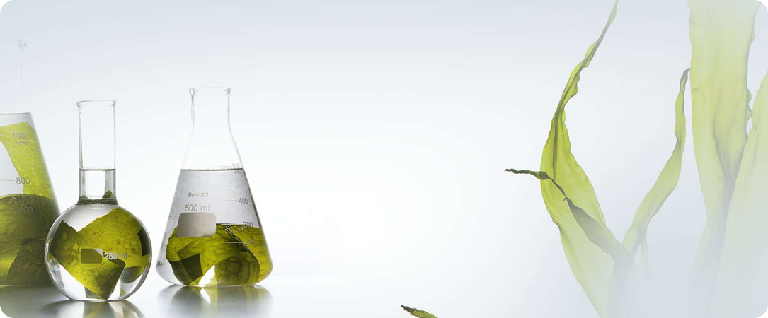 Placeholder Image (4)